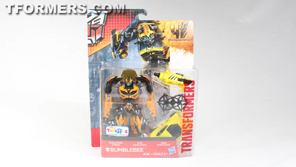 Video Review And Images Bumblebee Evolutions Two Pack Transformers 4 Age Of Extinction Figures  (1 of 48)